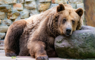 , Zoo Augsburg