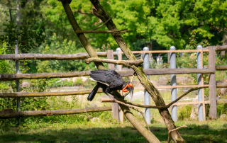 , Zoo Augsburg