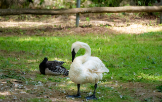 , Zoo Augsburg