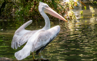 , Zoo Augsburg
