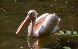 , Zoo Augsburg