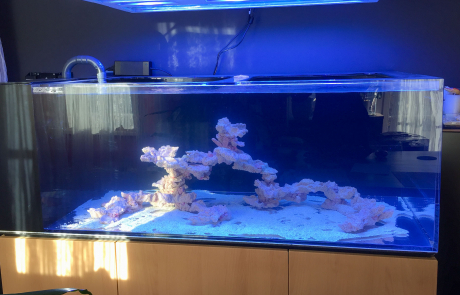Schuran-Becken mit Atoll