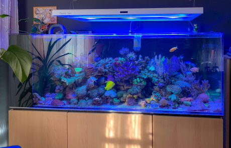 Mein Becken 2019