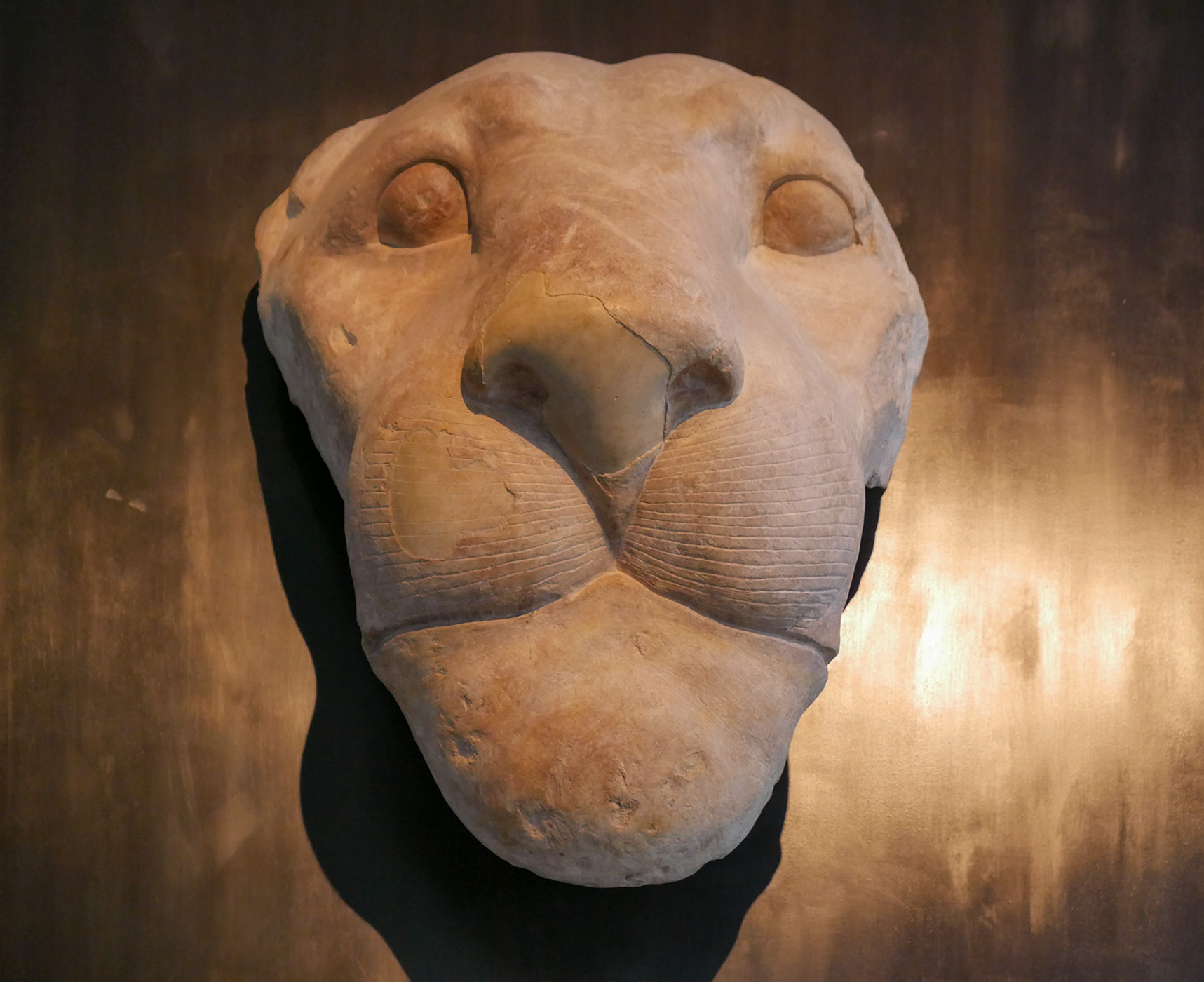 Kopf einer Löwenfigur von einem Wasserspeier, Neues Reich, 18. Dynastie, 1430-1400 v. Chr. Kalkstein | Telt el-Daba AS 5348