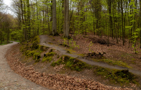 Wer nach all den Eindrücken noch ein wenig die Natur genießen möchte, kann den Rückweg durch den schattigen Granitz-Wald auch zu Fuß antreten. Vom Jagdschloss bis zur Seebrücke in Binz sind es etwa drei Kilometer, nach Sellin rund sechs Kilometer und nach Lancken-Granitz zwei Kilometer.