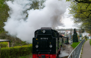 Rasender Roland – Starten Sie den Tag mit einer Fahrt in Rügens historischer Schmalspurbahn, dem Rasenden Roland. Starten Sie den Tag mit einer Fahrt in Rügens historischer Schmalspurbahn, dem Rasenden Roland.