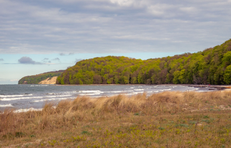 Binz