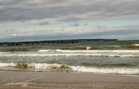 Binz