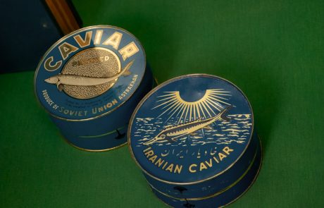 Beluga-Kaviar bester Qualität vom Hausen (huso huso)