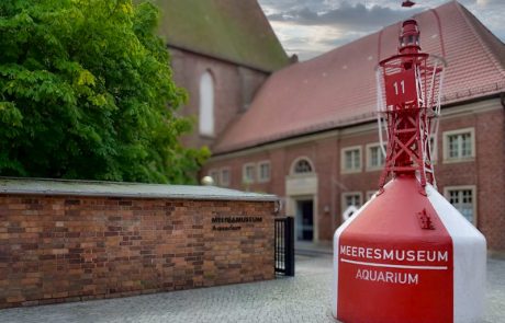 Meeresmuseum