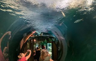 Aquarienhaus - Tiergarten Schönbrunn