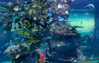 S.E.A. AQUARIUM