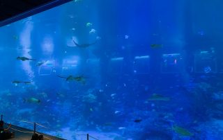 S.E.A. AQUARIUM