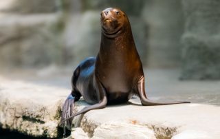 - Tiergarten Schönbrunn