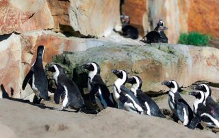 ,Zoo Berlin