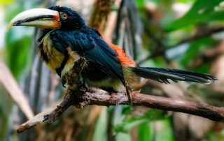 ,Zoo Berlin