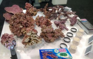 Real Reef Rock