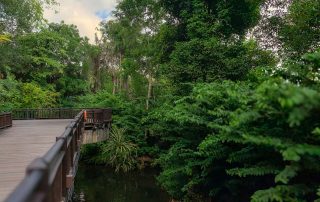 Zoo von Singapur