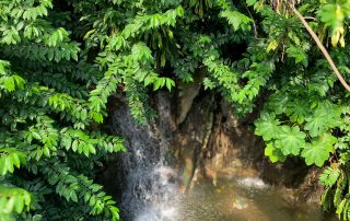 Zoo von Singapur