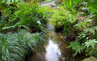 Zoo von Singapur