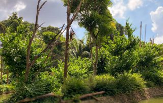 Zoo von Singapur