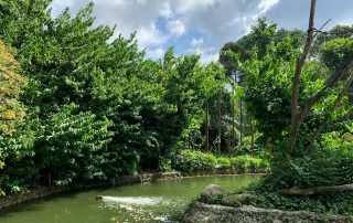 Zoo von Singapur