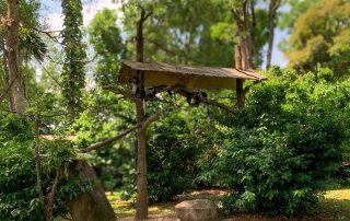 Zoo von Singapur