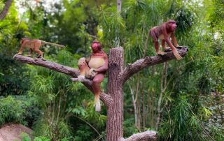 Zoo von Singapur