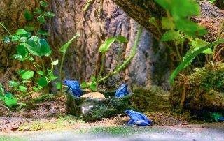 Zoologischer Tiergarten in Karlsruhe