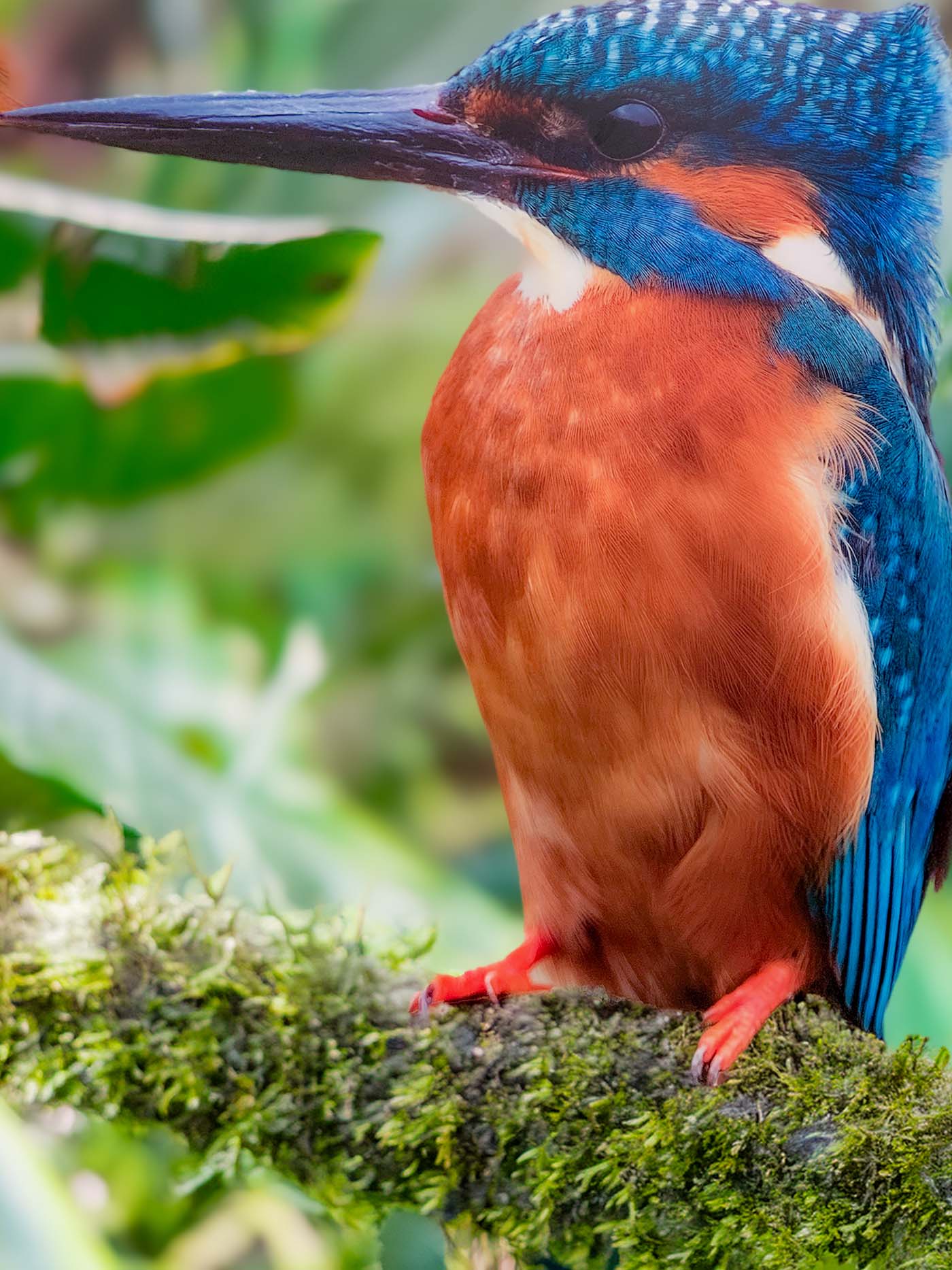 , Zoologischer Tiergarten in Karlsruhe