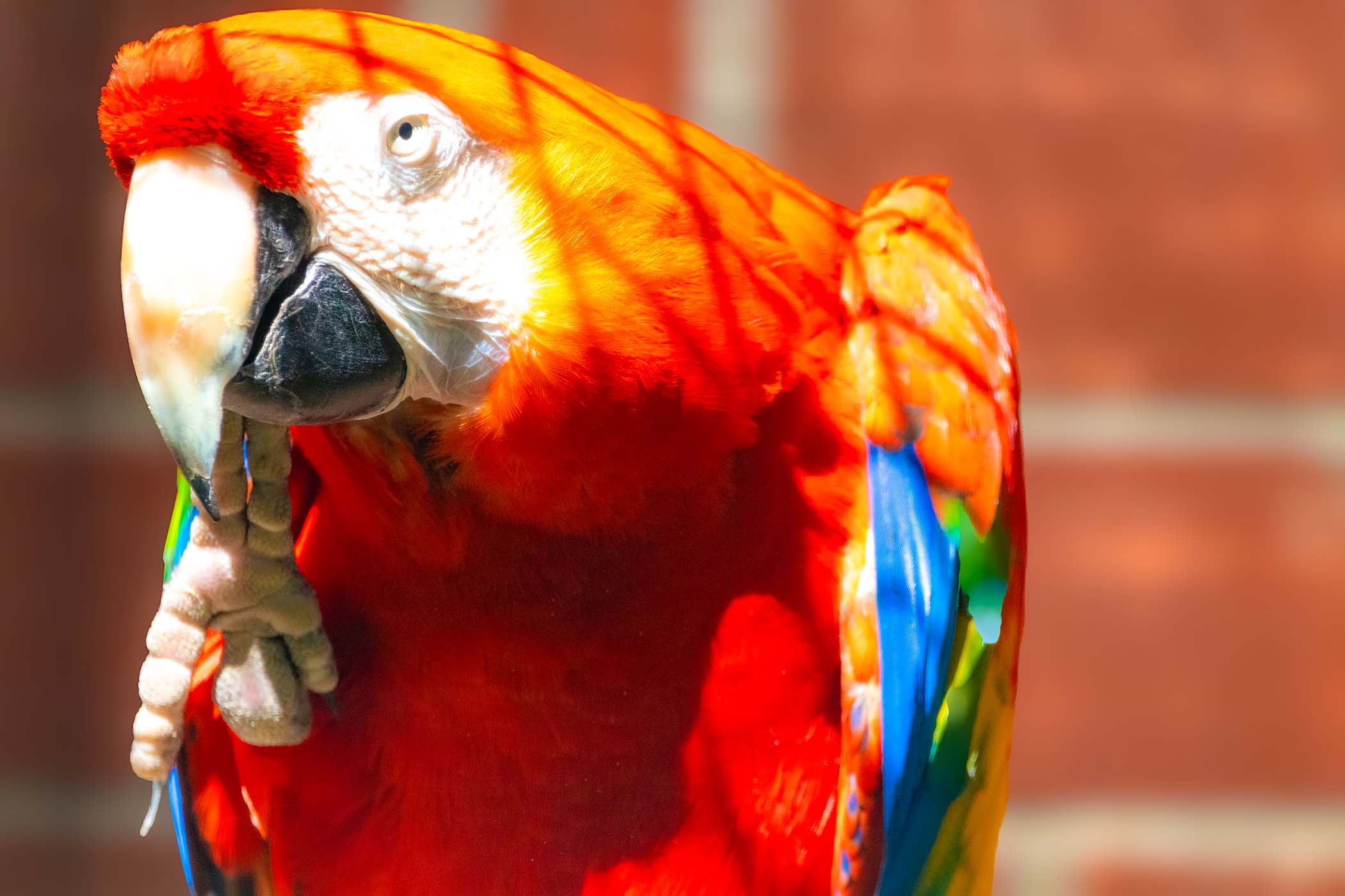 – Zoo Leipzig - Zoo Leipzig