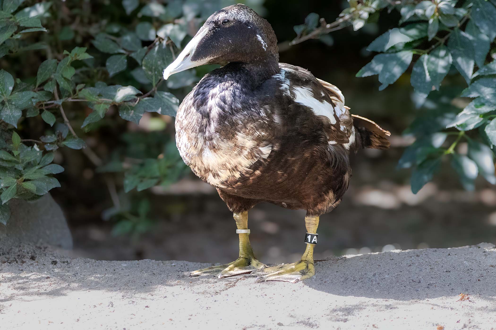 – Zoo Leipzig - Zoo Leipzig