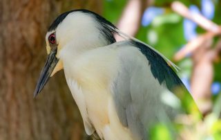 - Zoo Leipzig