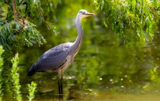 , Zoo Berlin