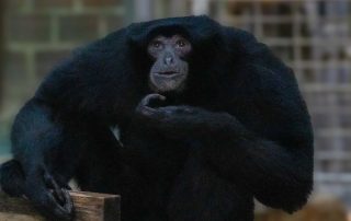 , Zoo Berlin