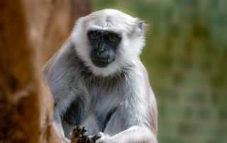, Zoo Berlin