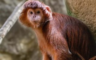 , Zoo Berlin