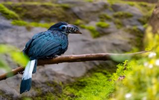 , Zoo Berlin