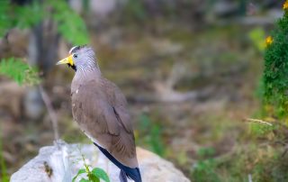 , Zoo Berlin