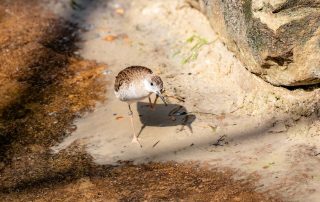 , Zoo Berlin