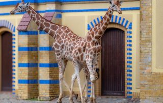 , Zoo Berlin