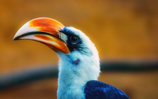 - Zoo Leipzig